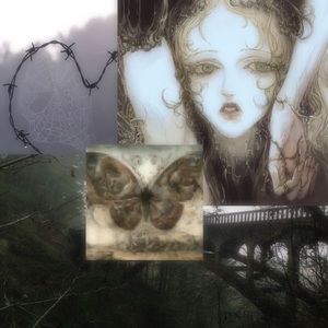 Meet your Posher, Lilyenne